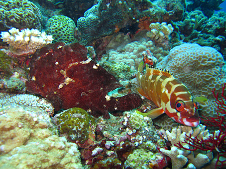 f0041021_20411121.jpg