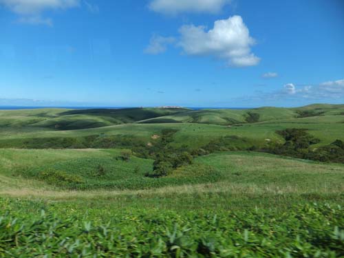 f0147025_8582423.jpg
