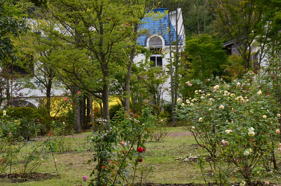 f0124830_031529.jpg
