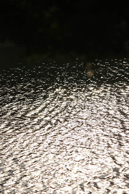 e0211636_1037644.jpg