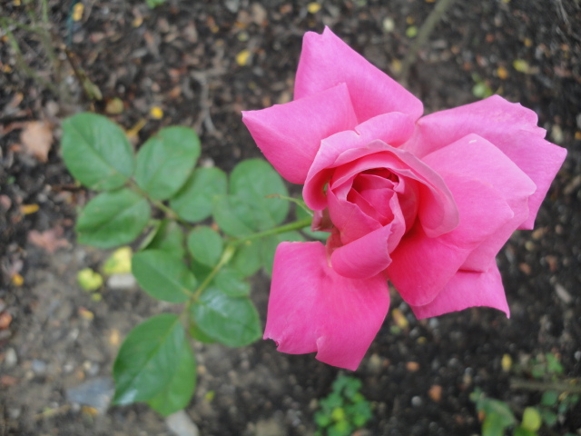 a0224537_411986.jpg