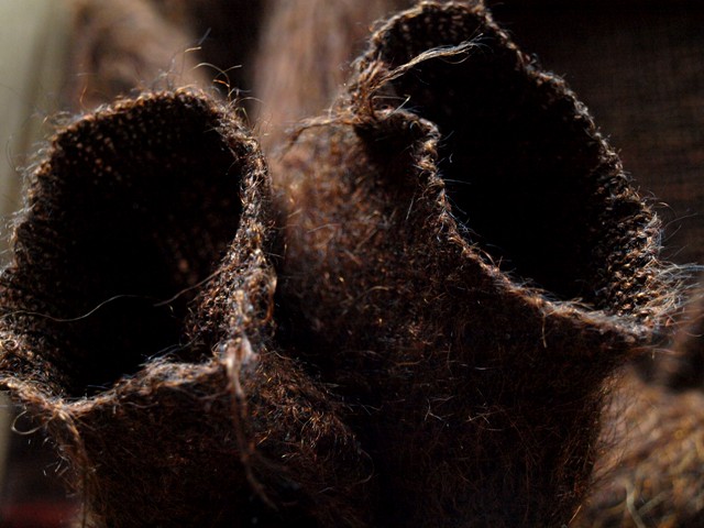 c0177238_17382595.jpg