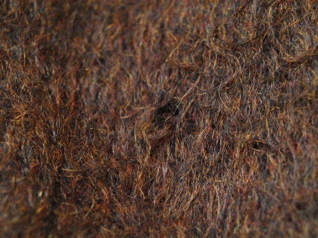c0177238_18152987.jpg
