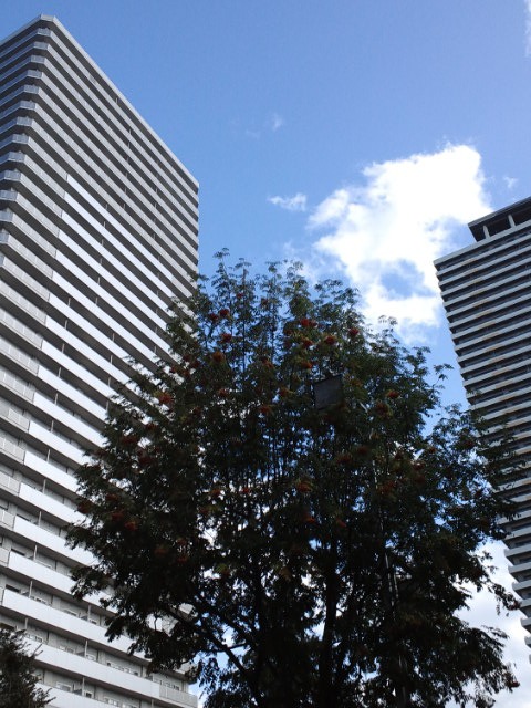 c0117239_11584862.jpg
