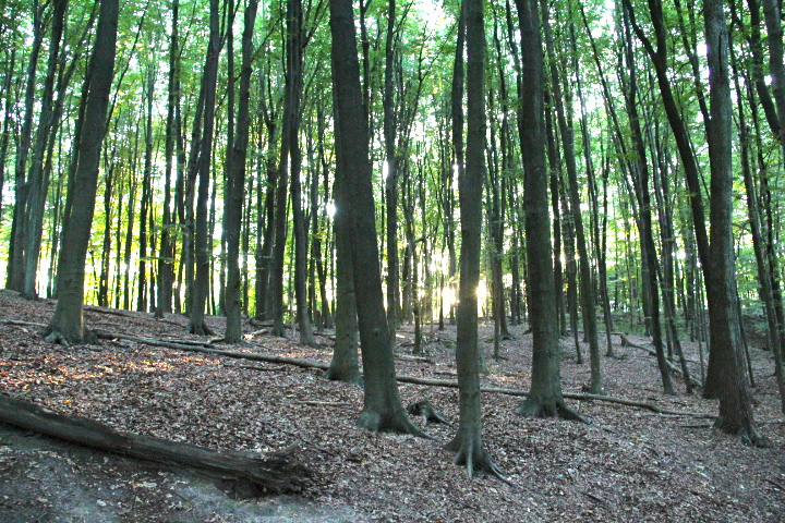 c0153740_2156942.jpg