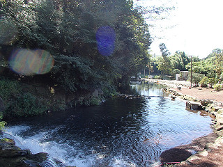 f0065341_16472076.jpg
