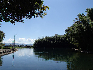 f0065341_16481349.jpg
