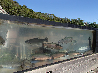 f0065341_1651351.jpg