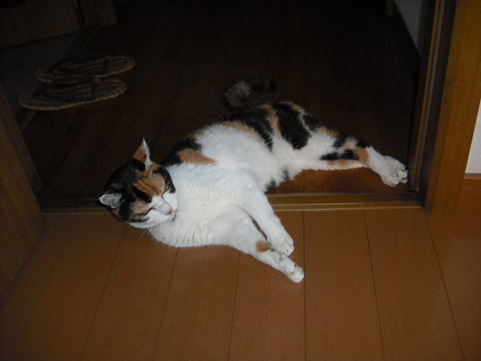 c0194042_9145673.jpg