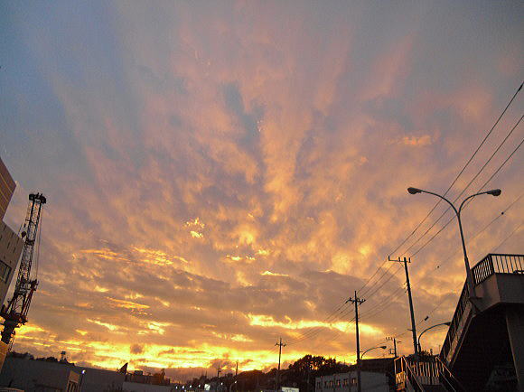 f0094843_116567.jpg