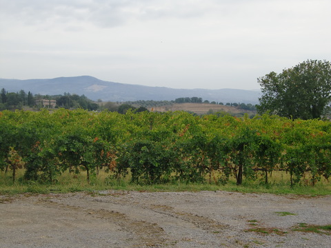 c0206352_2351710.jpg