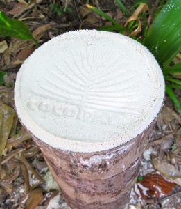 f0190653_21144772.jpg