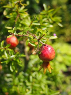 b0246758_13345292.jpg