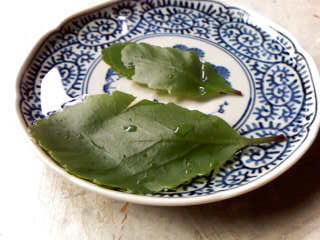 a0108859_0254628.jpg