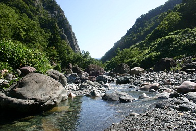 b0079965_363881.jpg