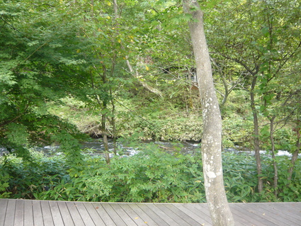 b0251065_2174440.jpg