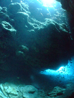 b0033573_163487.jpg