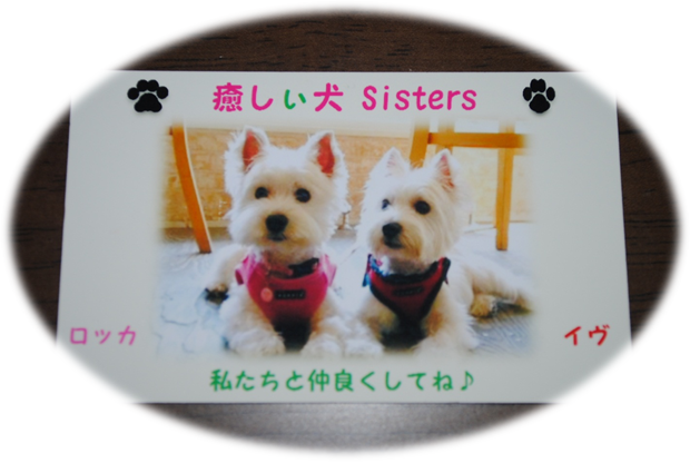 b0242873_14343832.png