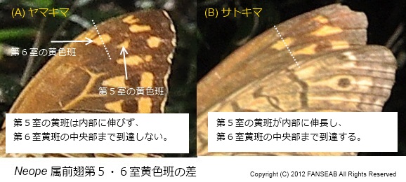 f0090680_21241797.jpg