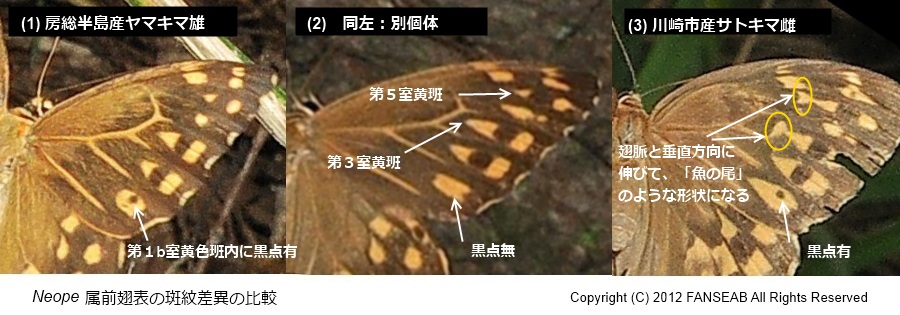f0090680_21243067.jpg