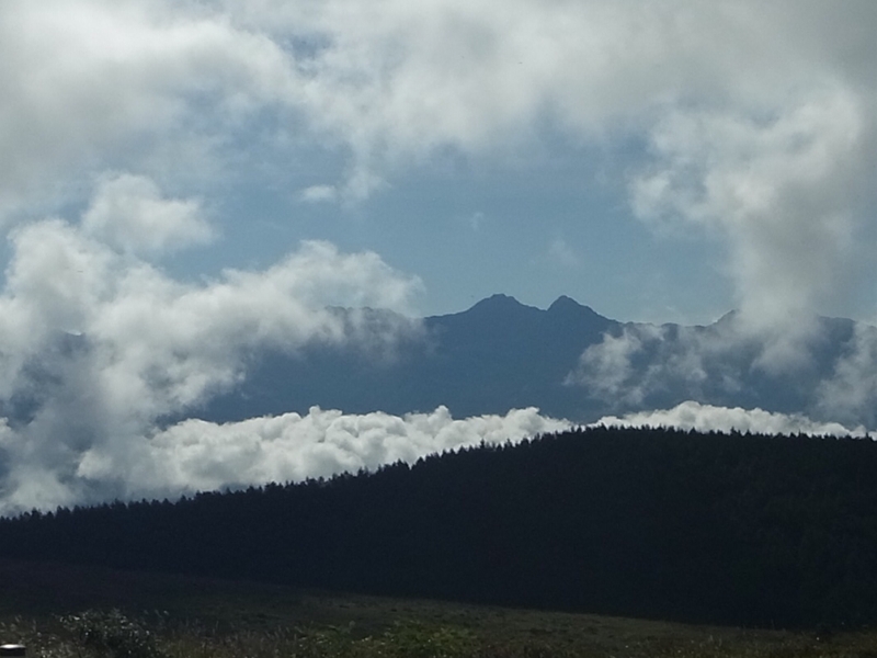 e0271890_12395161.jpg