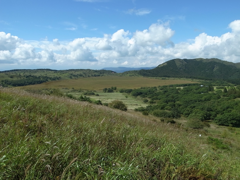 e0271890_1331966.jpg