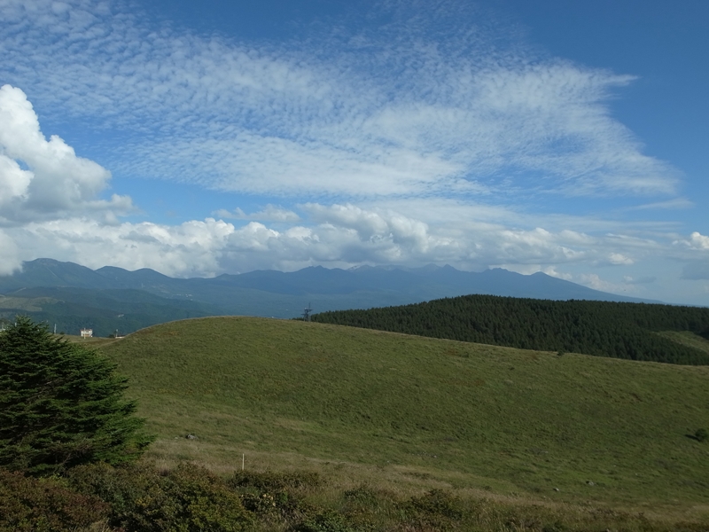 e0271890_1453067.jpg