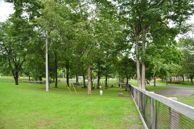 f0212597_6443287.jpg