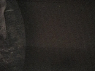 f0151099_5274441.jpg