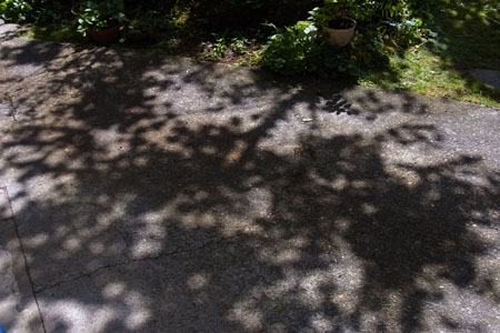 b0101300_14504126.jpg