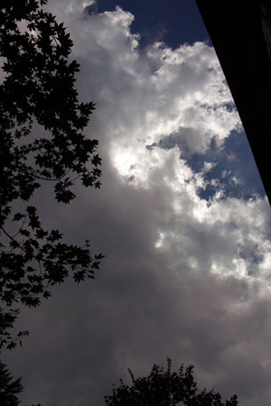 b0101300_1585581.jpg