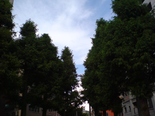 b0009103_1727418.jpg