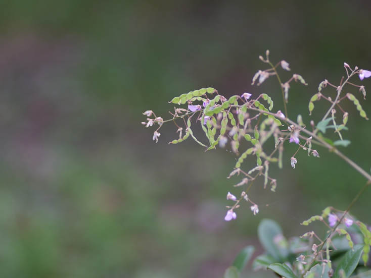 c0187503_22412016.jpg