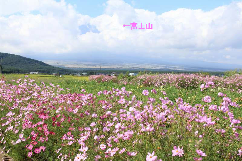 a0188405_18532317.jpg