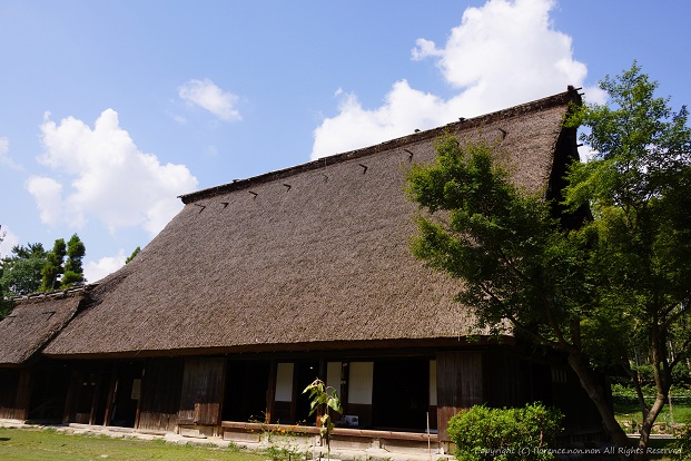e0137705_2245266.jpg