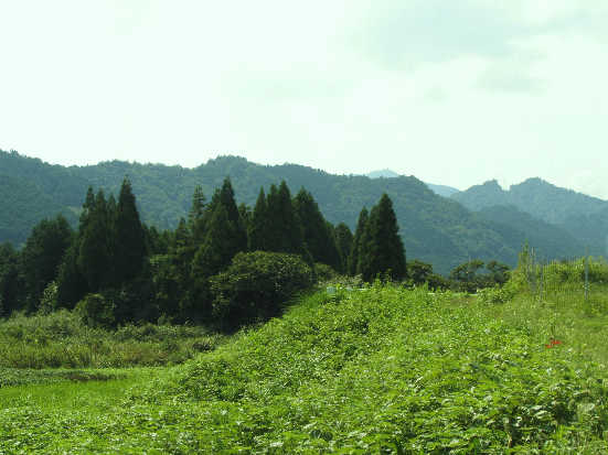 d0154609_19322261.jpg