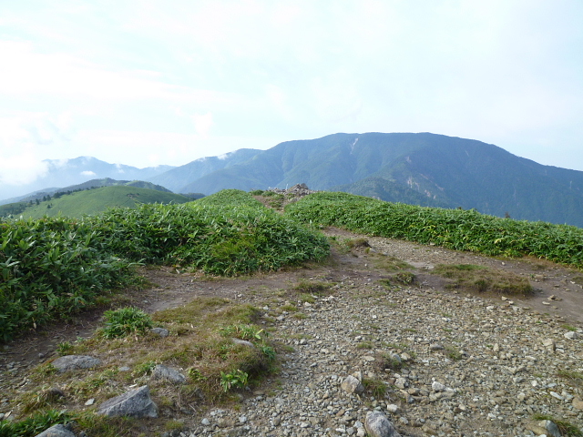d0170615_182669.jpg