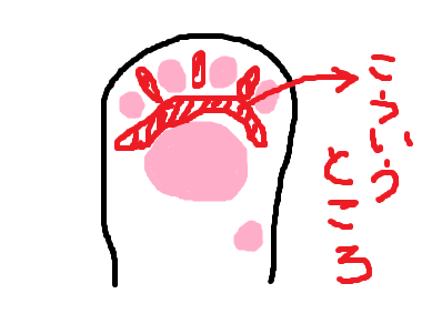 b0077117_11395810.png