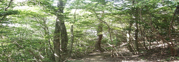 b0191418_1855575.jpg