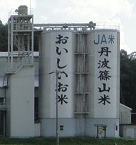f0000521_645566.jpg