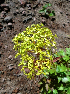 d0130927_9242179.jpg