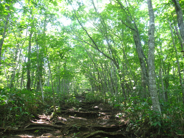 d0088735_227053.jpg