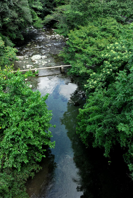 b0075541_23405688.jpg