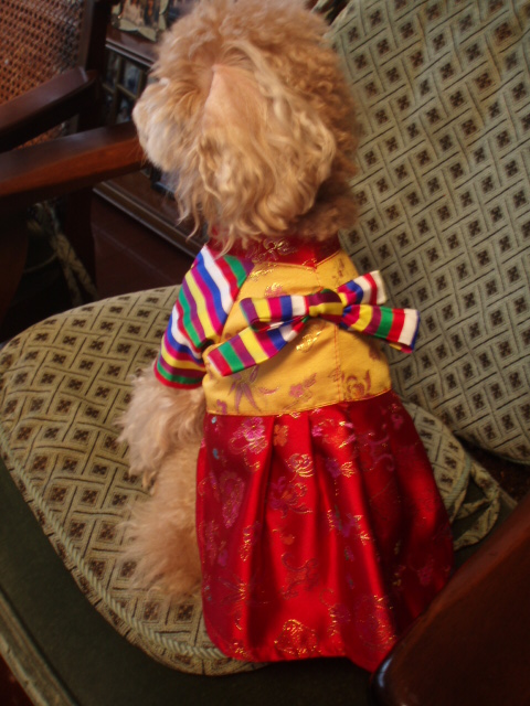 c0143650_921565.jpg