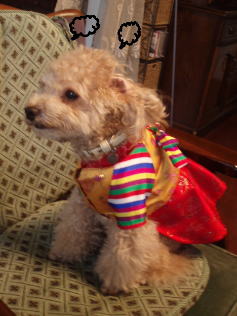 c0143650_923118.jpg
