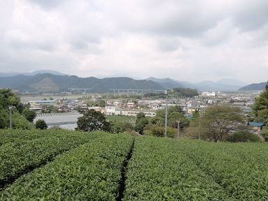 f0046854_234364.jpg