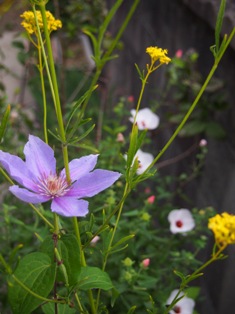 b0246758_218954.jpg