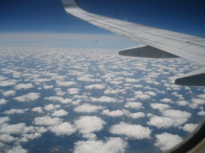 d0158258_8581130.jpg