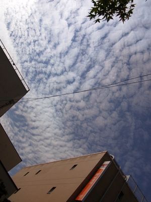 f0106664_21393729.jpg