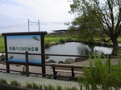 f0106664_7125586.jpg
